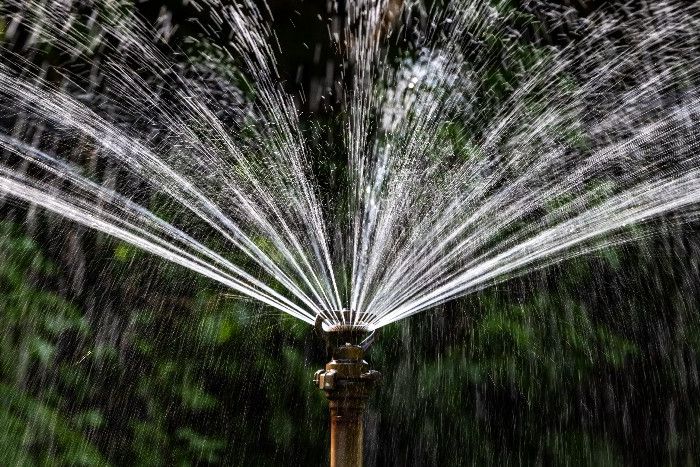 Sprinkler bewässert einen Garten
